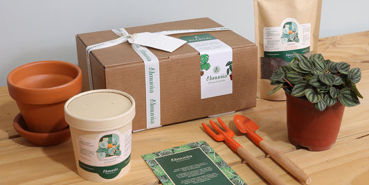 Una experiencia en cada detalle.